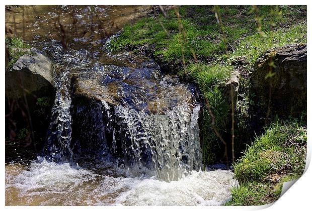 Small creek in Sibiel Romania Print by Adrian Bud