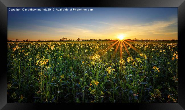 Balmy April Countryside Sunset Framed Print by matthew  mallett