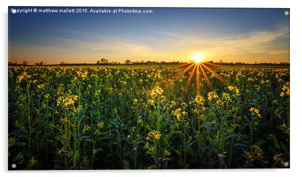  Balmy April Countryside Sunset Acrylic by matthew  mallett