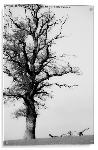  Tree Acrylic by Phil Wareham