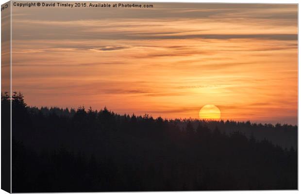  Spring Sunrise 1 Canvas Print by David Tinsley