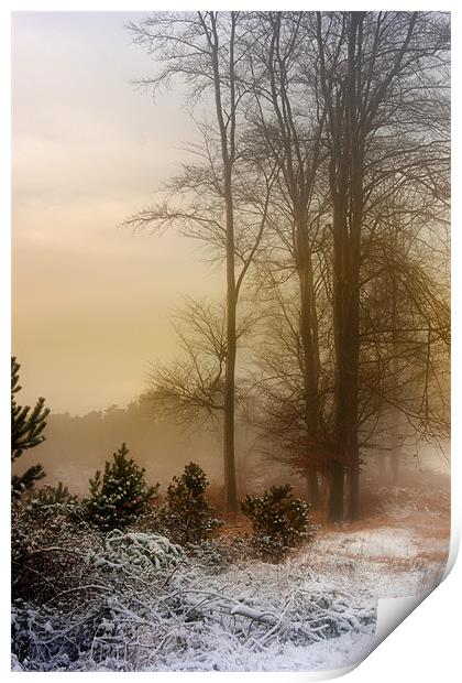 Christmas Eve in the Snow Print by Ann Garrett