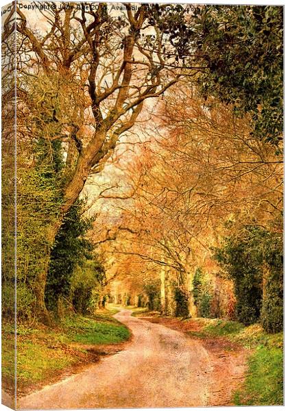 Road To Stody Canvas Print by Julie Coe
