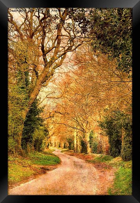 Road To Stody Framed Print by Julie Coe