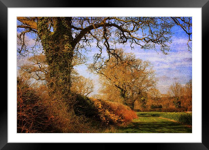 Along Briston Road Framed Mounted Print by Julie Coe