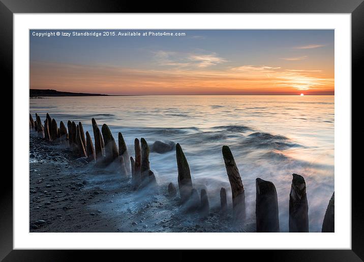  These old posts Framed Mounted Print by Izzy Standbridge