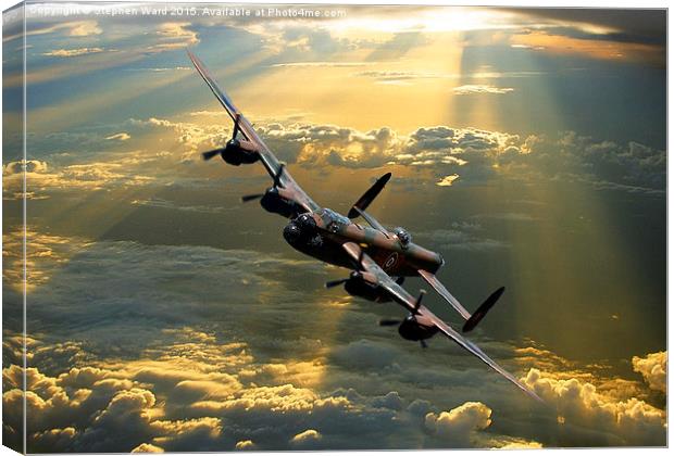 Thumpers Thunderous Run Canvas Print by Stephen Ward