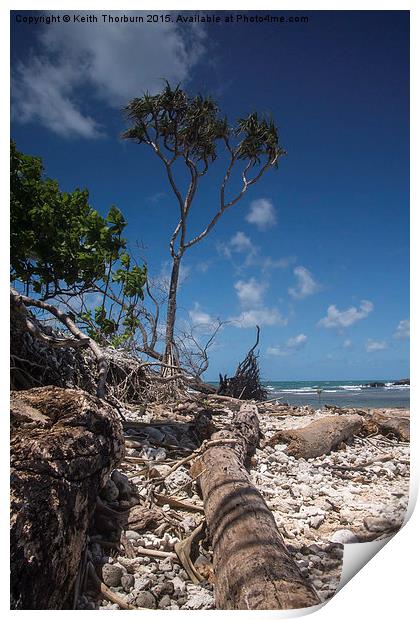 Frankland Island Print by Keith Thorburn EFIAP/b