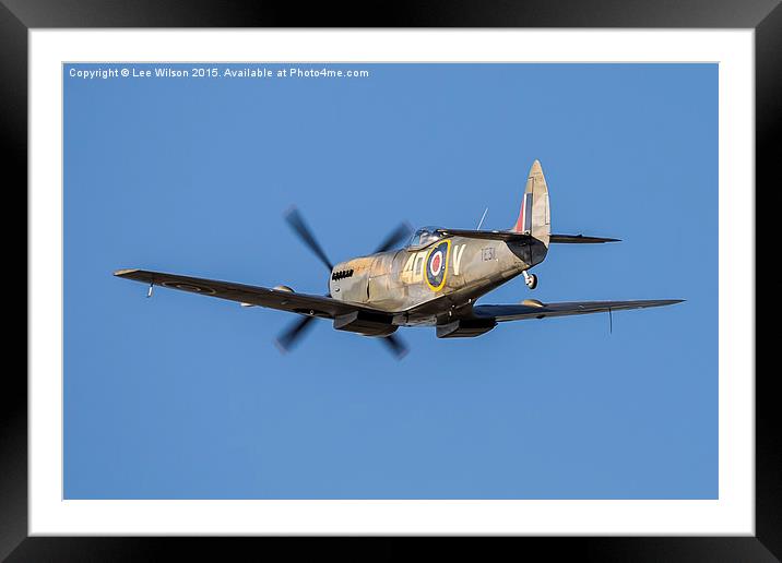 BBMF Spitfire TE311 Framed Mounted Print by Lee Wilson