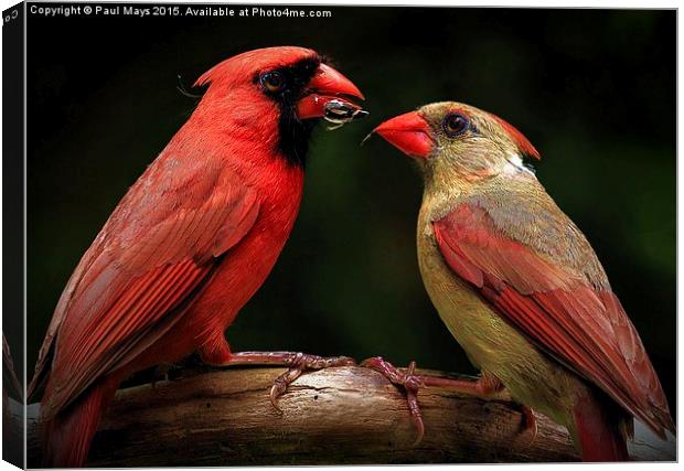  The Happy Couple Canvas Print by Paul Mays