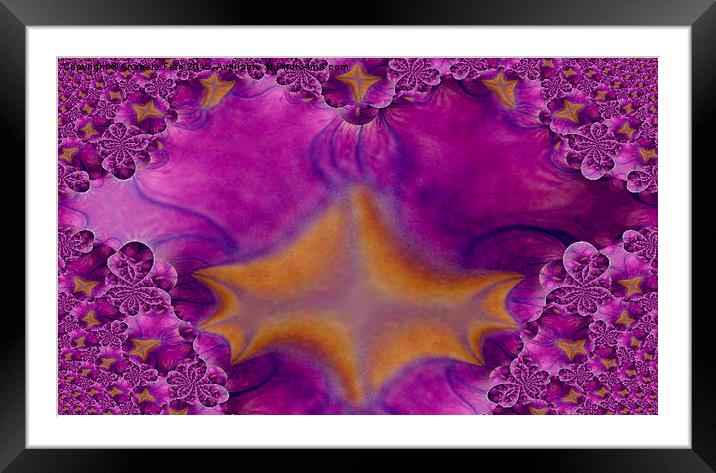 Purple flower, fractal trace Framed Mounted Print by Anabela Fern