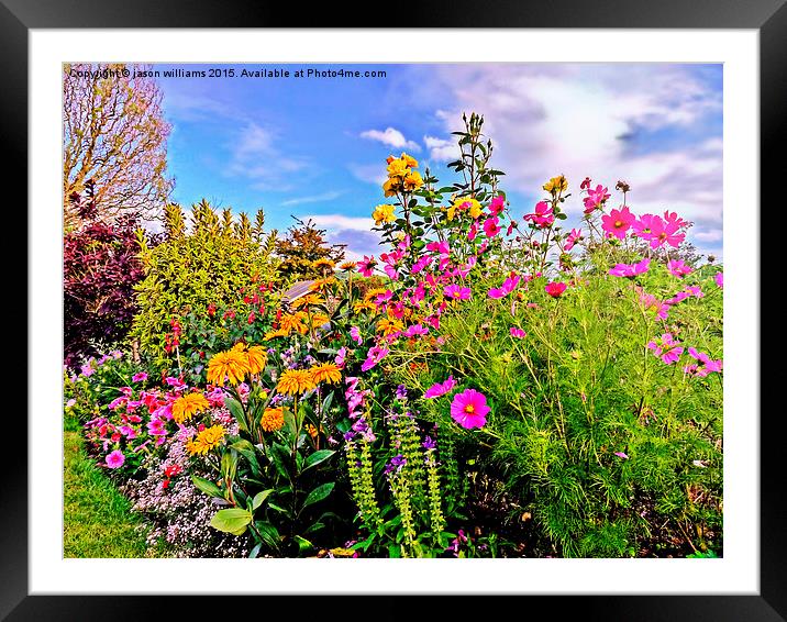  Cottage Garden Flowers Framed Mounted Print by Jason Williams
