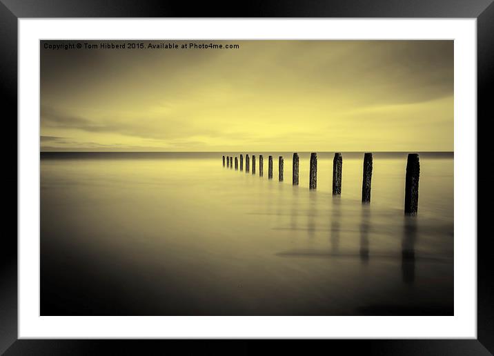  Golden tranquility Framed Mounted Print by Tom Hibberd