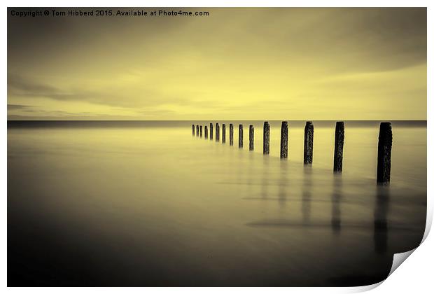  Golden tranquility Print by Tom Hibberd