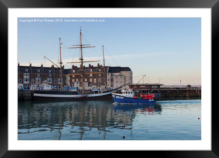  The Pelican in Weymouth Harbour Winter 2015 Framed Mounted Print by Paul Brewer