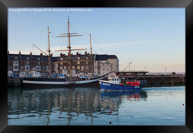  The Pelican in Weymouth Harbour Winter 2015 Framed Print by Paul Brewer