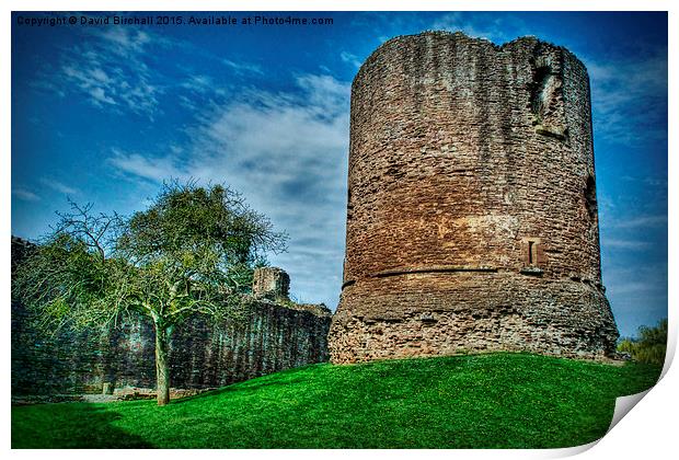 Skenfrith Castle Great Tower  Print by David Birchall