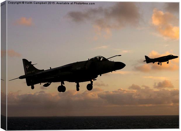 Sea Harriers Hovering  Canvas Print by Keith Campbell
