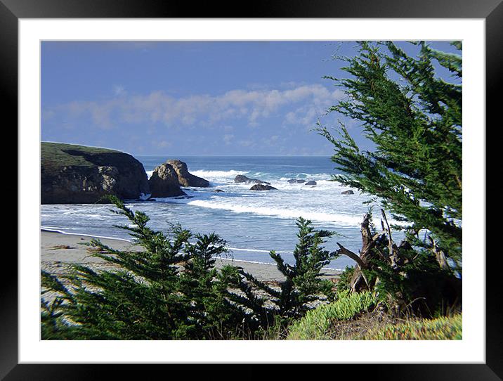 Cove at Fort Brag CA Framed Mounted Print by Nick Minoff