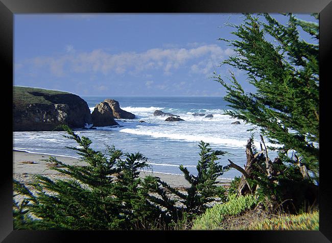 Cove at Fort Brag CA Framed Print by Nick Minoff