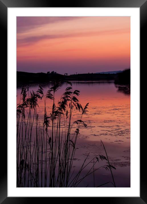  Warm Reflections. Framed Mounted Print by Becky Dix