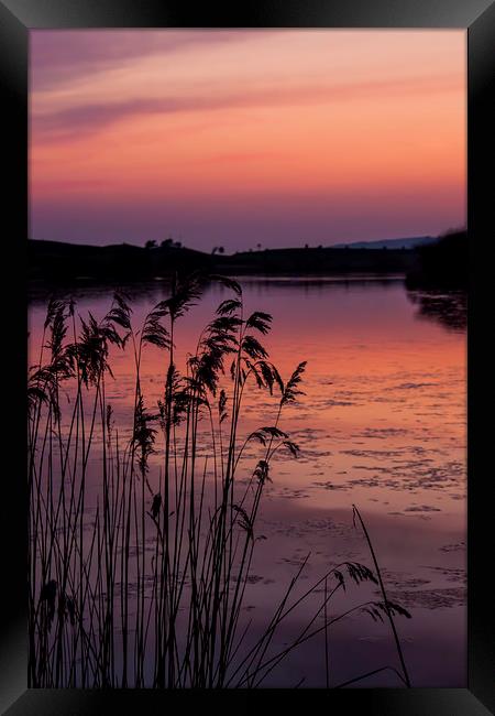  Warm Reflections. Framed Print by Becky Dix