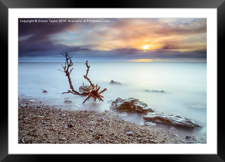  Hunstanton Driftwood Framed Mounted Print by Simon Taylor