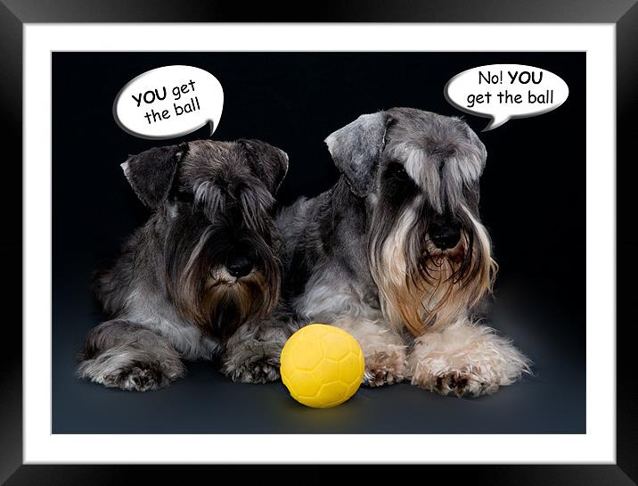 Arguing Dogs Framed Mounted Print by Eddie Howland