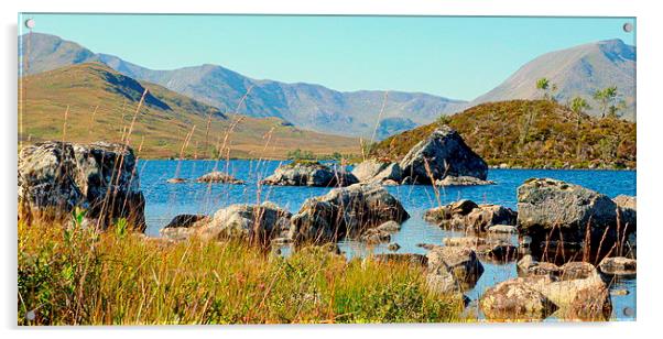  highland landscape   Acrylic by dale rys (LP)