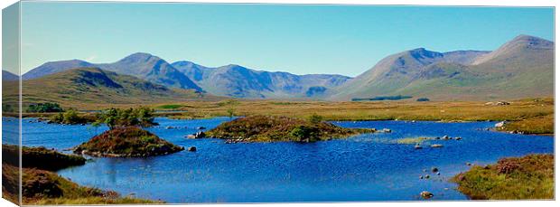  highland landscape     Canvas Print by dale rys (LP)