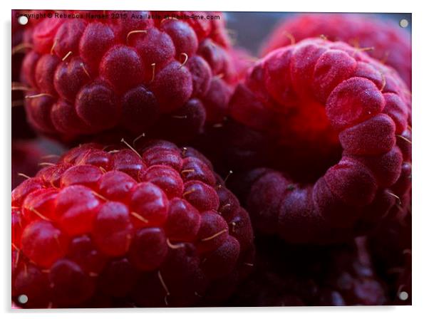  Fresh Raspberries  Acrylic by Rebecca Hansen