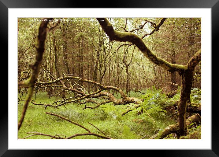 Glendalough Wood Framed Mounted Print by Alex Wilson