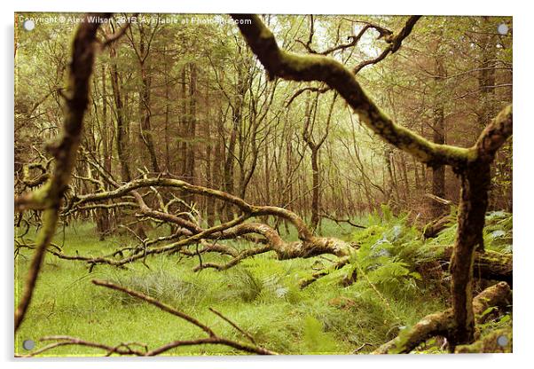 Glendalough Wood Acrylic by Alex Wilson