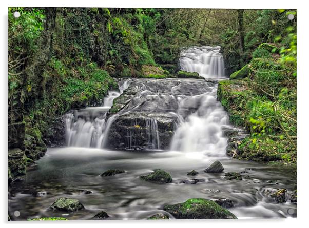 Waterfall, Watersmeet, Exmoor  Acrylic by Rich Wiltshire