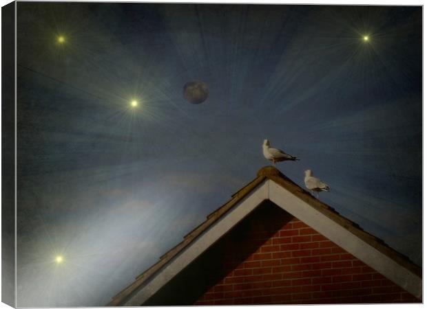  Moon Gazing Gulls. Canvas Print by Heather Goodwin