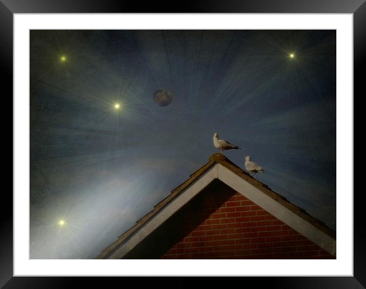 Moon Gazing Gulls. Framed Mounted Print by Heather Goodwin