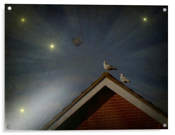  Moon Gazing Gulls. Acrylic by Heather Goodwin