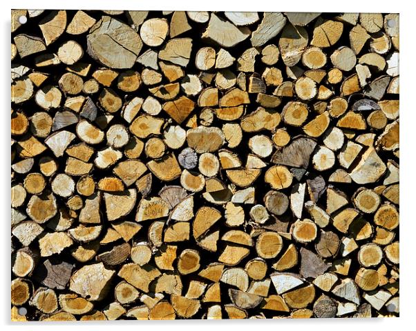 Cut Logs Acrylic by Victor Burnside