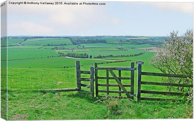  MEON VALLEY Canvas Print by Anthony Kellaway