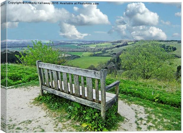 OLD WINCHESTER HILL VIEW Canvas Print by Anthony Kellaway