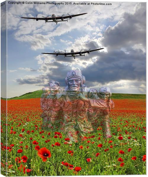   We Remember Them ! Canvas Print by Colin Williams Photography