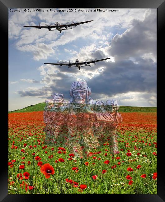   We Remember Them ! Framed Print by Colin Williams Photography
