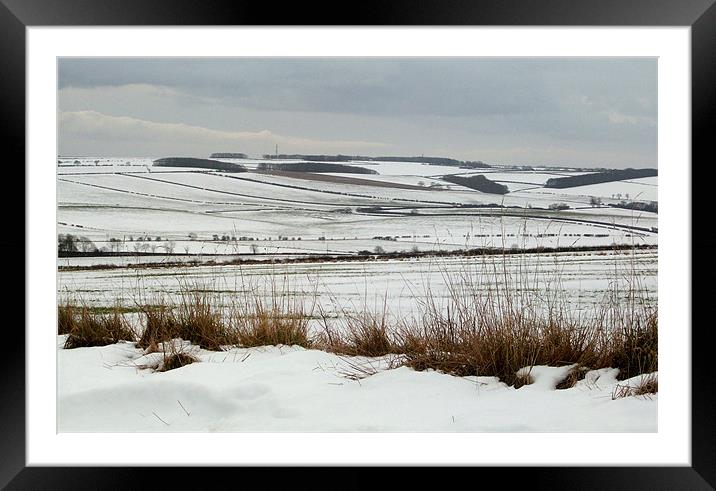 Fields of Snow Framed Mounted Print by Sarah Couzens