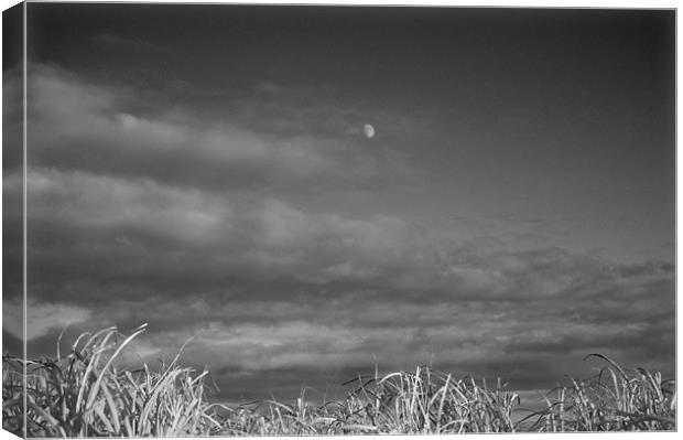 Moon and Clouds Canvas Print by David Moate