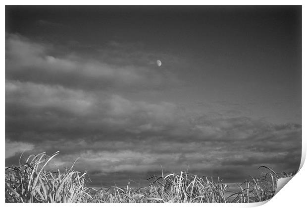 Moon and Clouds Print by David Moate