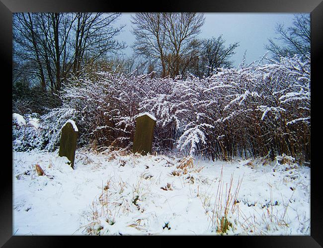 winter peace Framed Print by Martin Parkinson