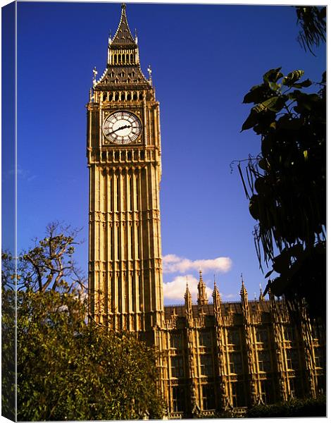 Big Ben Canvas Print by Chris Day