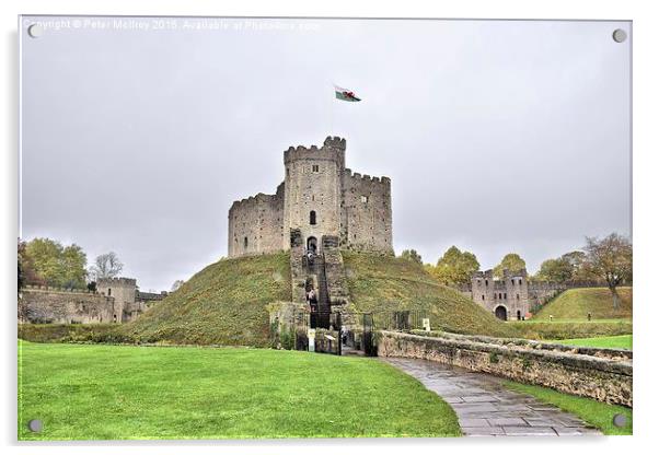Cardiff Castle Acrylic by Peter McIlroy