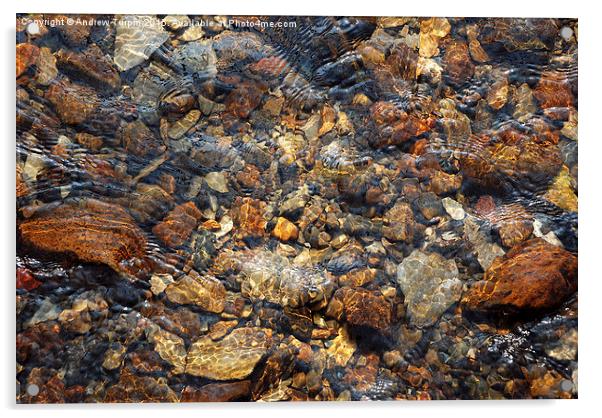  Stones in a Stream Acrylic by Andrew Turpin