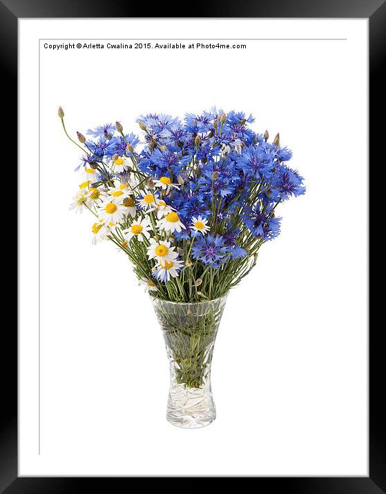 White camomile and blue cornflower in glass vase Framed Mounted Print by Arletta Cwalina